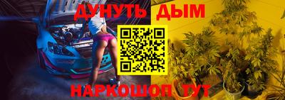 стафф Дубна